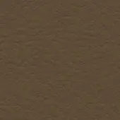 Brown leather texture sample displaying a mottled surface with irregular bumps, matte finish, and subtle tonal variations; label reads "col. 323".
